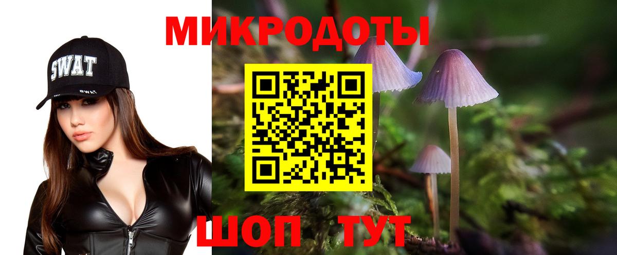 как найти   Псилоцибиновые грибы мицелий  Вход с VPN  Нальчик 